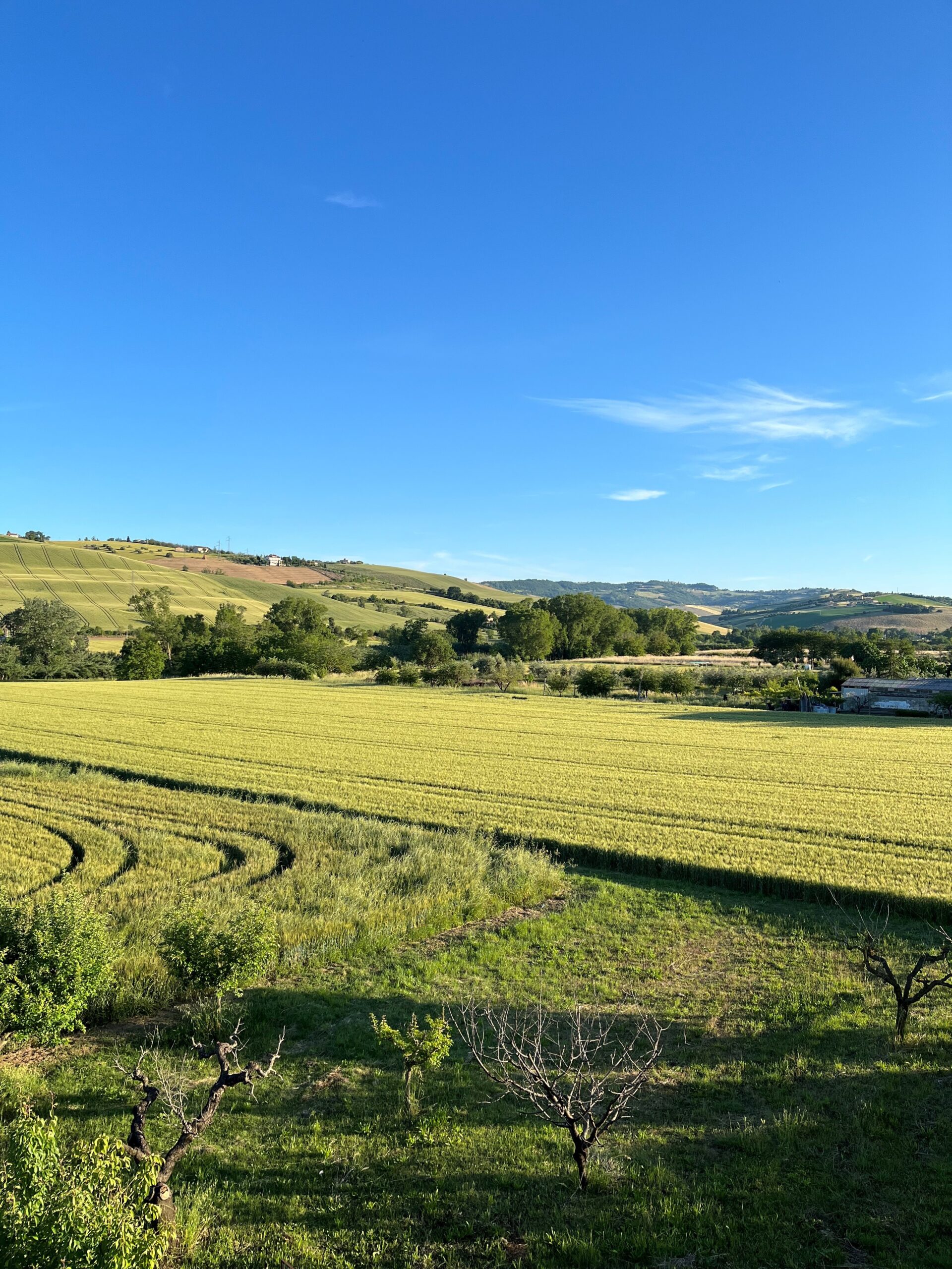 campagna fermo
