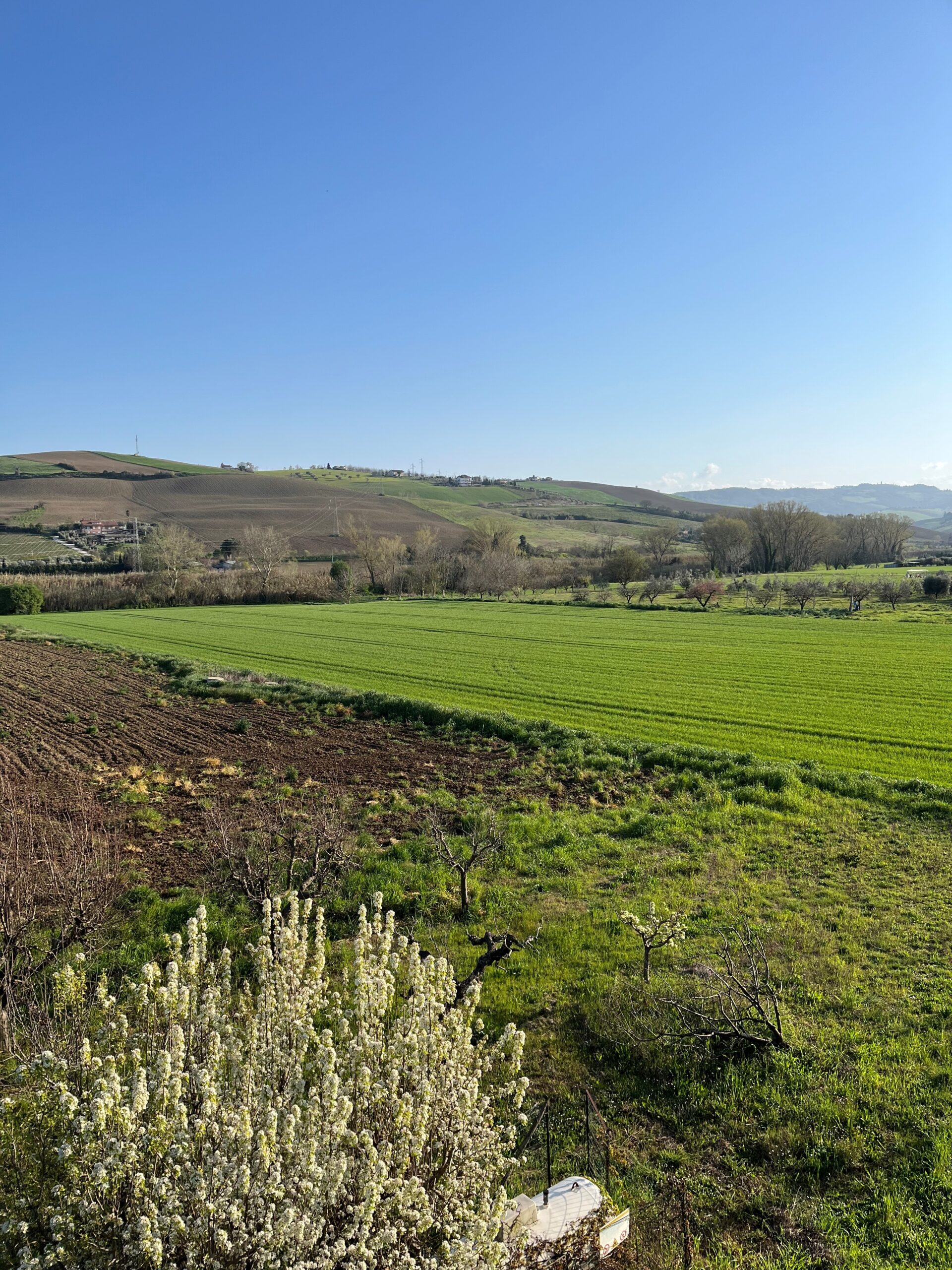 valle